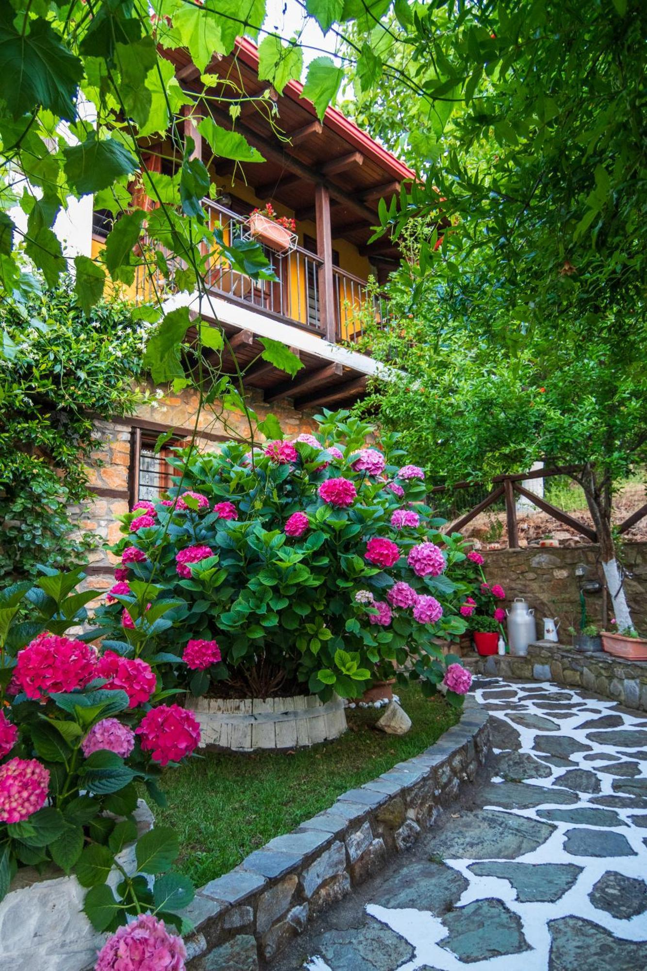Guesthouse Oneiro Palaios Panteleimonas Dış mekan fotoğraf