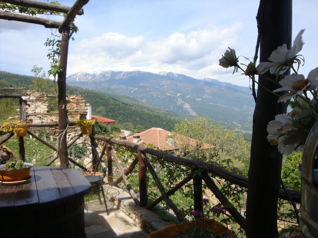 Guesthouse Oneiro Palaios Panteleimonas Dış mekan fotoğraf